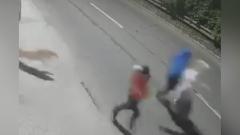 Momento en que el perro emprende la carrera contra los criminales