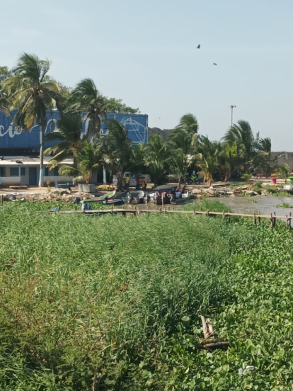 Zona de cuerpo hallado sin vida en el Río Magdalena.