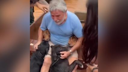 el hombre con los perros que salvó