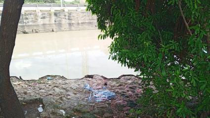 Caño la Auyama, a la altura del lugar en el que descubrieron a la mujer herida